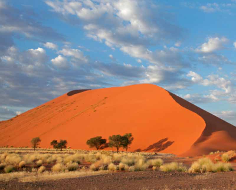 A large sand dune. Namibia, Africa
