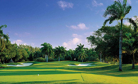 Golf course with palm trees. Jamaica.