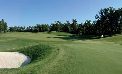 Golf course, on the green. North Carolina, USA.