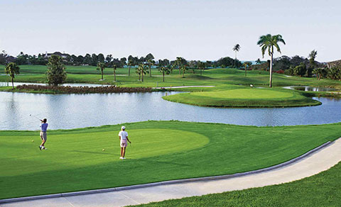 Golf course with golfers. The Bahamas.