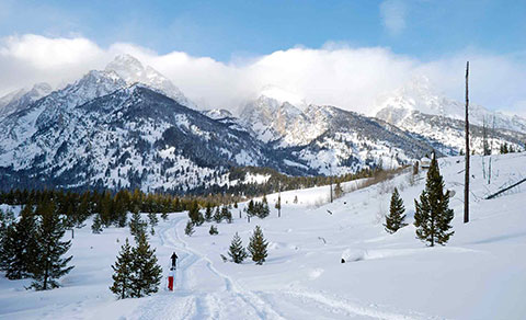 Ski trails in fresh snow. Wyoming.